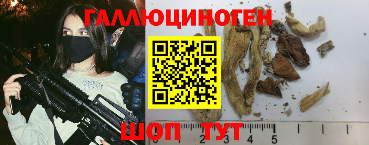 Галлюциногенные грибы мицелий  хочу   Скопин  Вход с VPN 