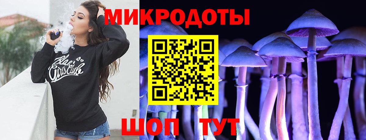 Псилоцибиновые грибы мицелий Скопин